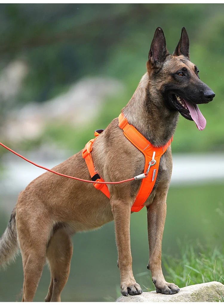SMALL COMBINATION Pet Harness No Pull Nylon Reflective Dog Harness Adjustable Comfortable Control Walking Running  accessories