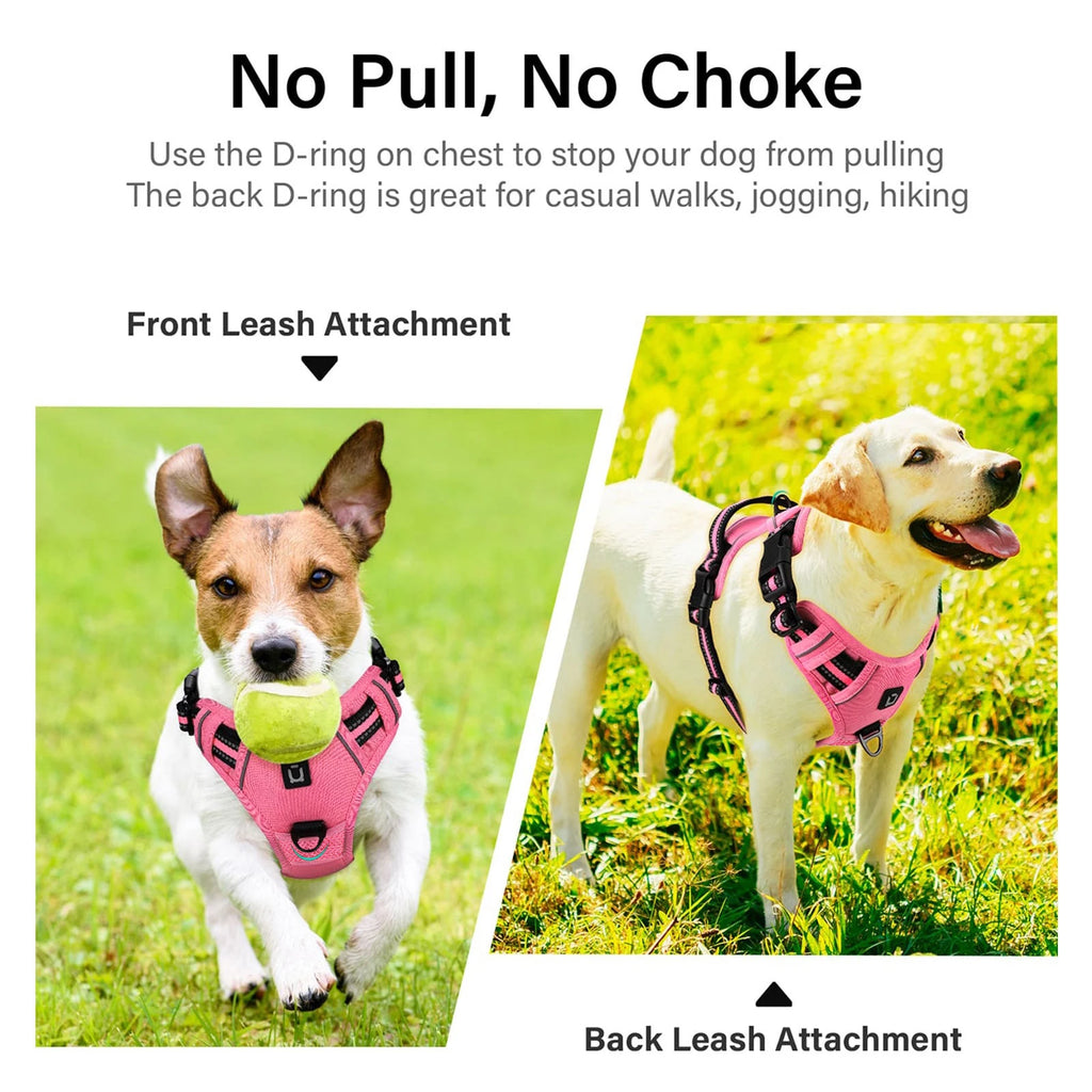 Dog Harness and Leash Combo, Escape Proof No Pull Vest Harness, with 5 Feet Leash, Reflective Adjustable Soft Padded Pet Harness