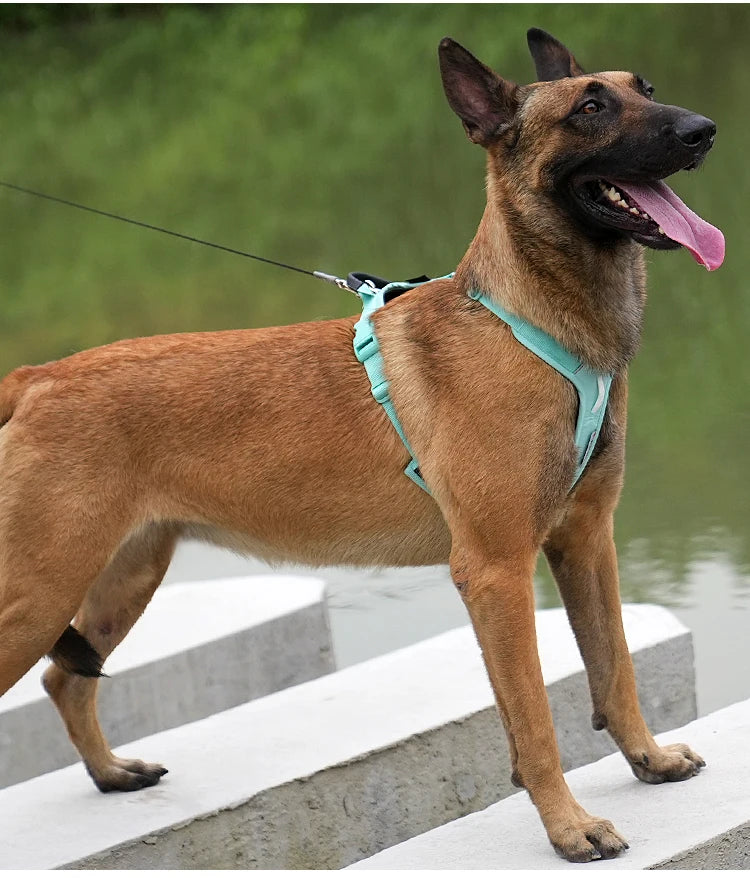 SMALL COMBINATION Pet Harness No Pull Nylon Reflective Dog Harness Adjustable Comfortable Control Walking Running  accessories