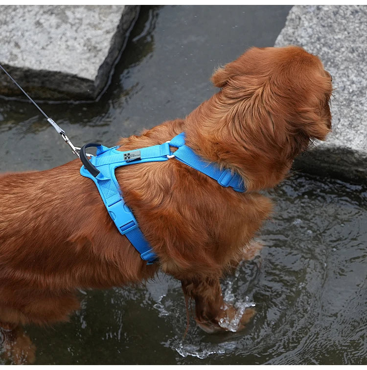 SMALL COMBINATION Pet Harness No Pull Nylon Reflective Dog Harness Adjustable Comfortable Control Walking Running  accessories