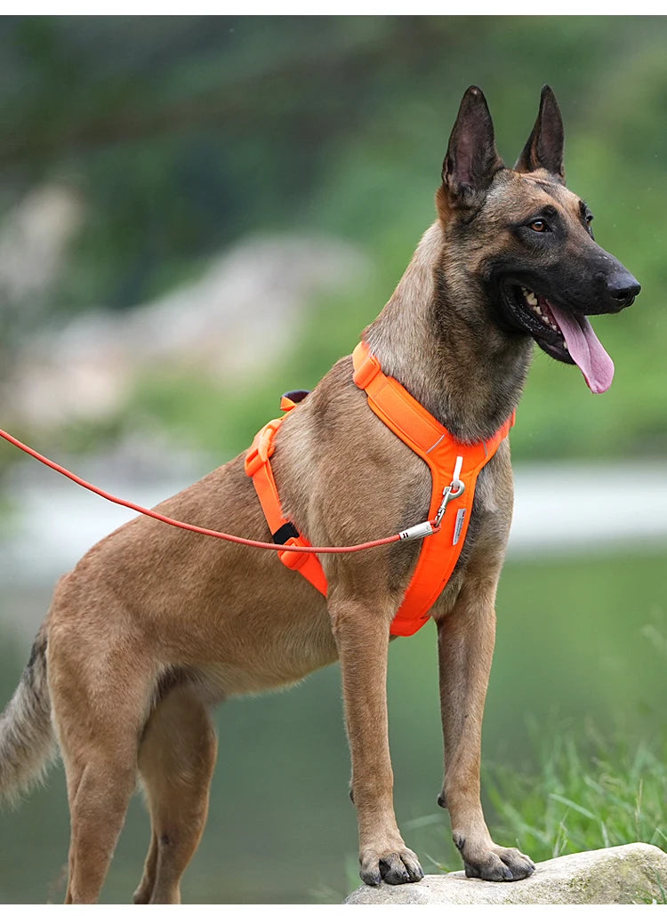 SMALL COMBINATION Pet Harness No Pull Nylon Reflective Dog Harness Adjustable Comfortable Control Walking Running  accessories