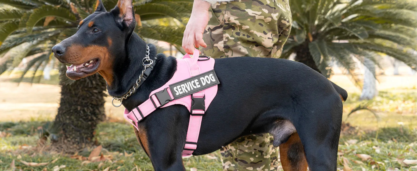 Personalized dog harness custom name tag doberman pinscher breathable adjustable pet harness suitable for medium and large dogs