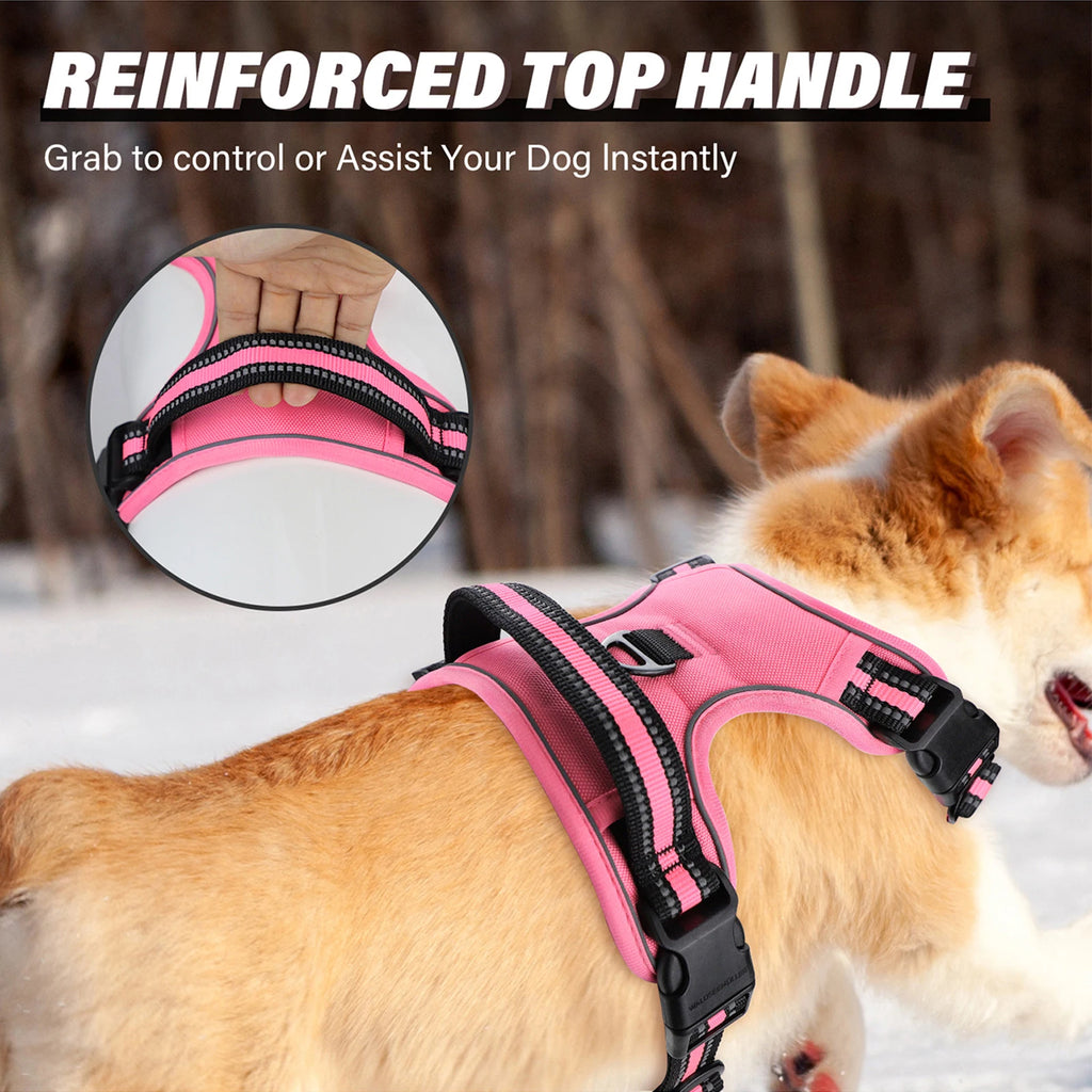 Dog Harness and Leash Combo, Escape Proof No Pull Vest Harness, with 5 Feet Leash, Reflective Adjustable Soft Padded Pet Harness