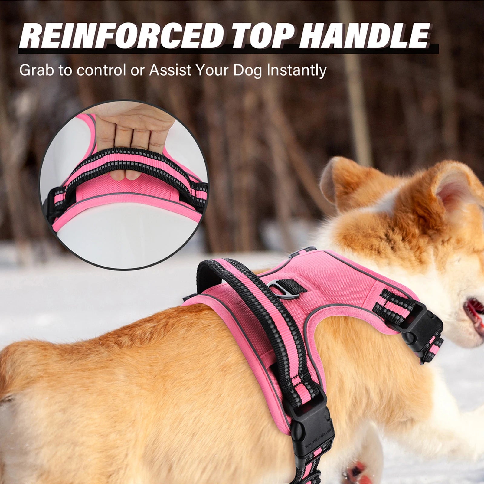Dog Harness and Leash Combo, Escape Proof No Pull Vest Harness, with 5 Feet Leash, Reflective Adjustable Soft Padded Pet Harness
