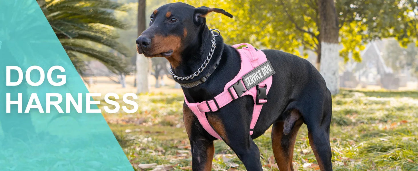 Personalized dog harness custom name tag doberman pinscher breathable adjustable pet harness suitable for medium and large dogs
