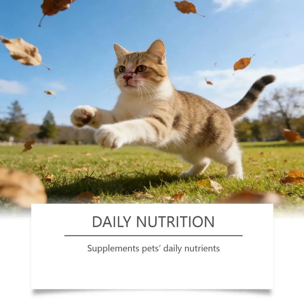 200g Pure Taurine Powder for Cats – Essential Amino Acid Supplement for Heart Health & Function, Supports Cardiac Muscle