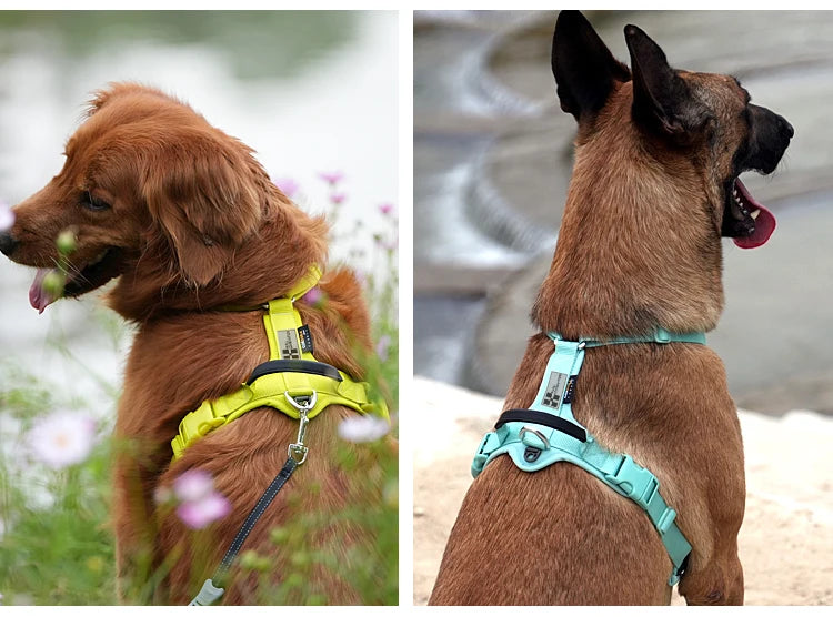 SMALL COMBINATION Pet Harness No Pull Nylon Reflective Dog Harness Adjustable Comfortable Control Walking Running  accessories